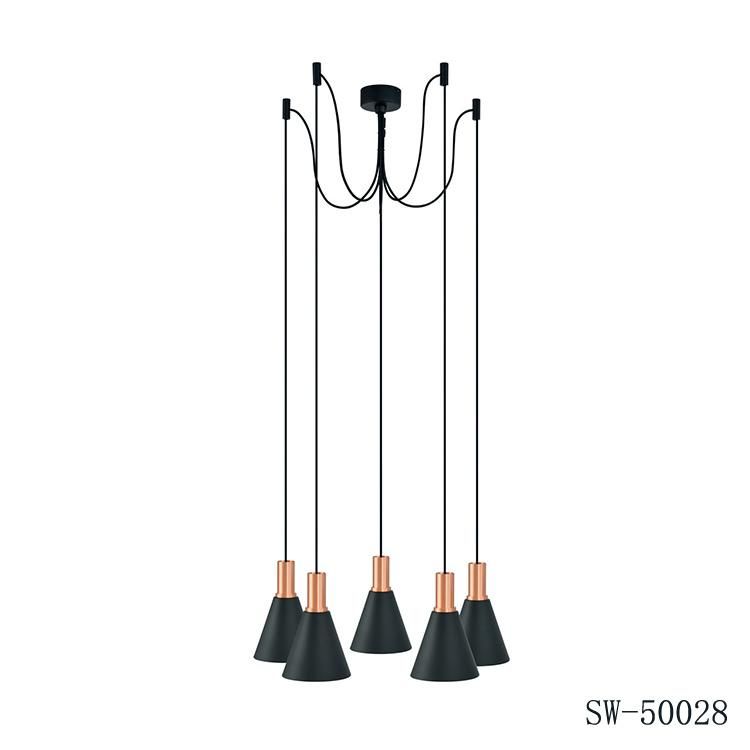 Modern Ceiling Hanging Light Living Room Decoration Black Lights