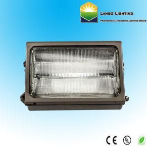 Energy Efficient Light Induction Lamp Wall Pack Lighting (LG0554)