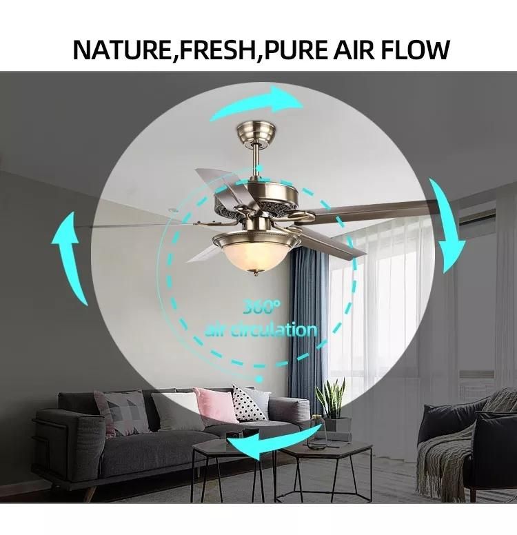 Europe Style 52 Inch DC Motor Ceiling Fan Home Decorative Ceiling Fan with LED Light