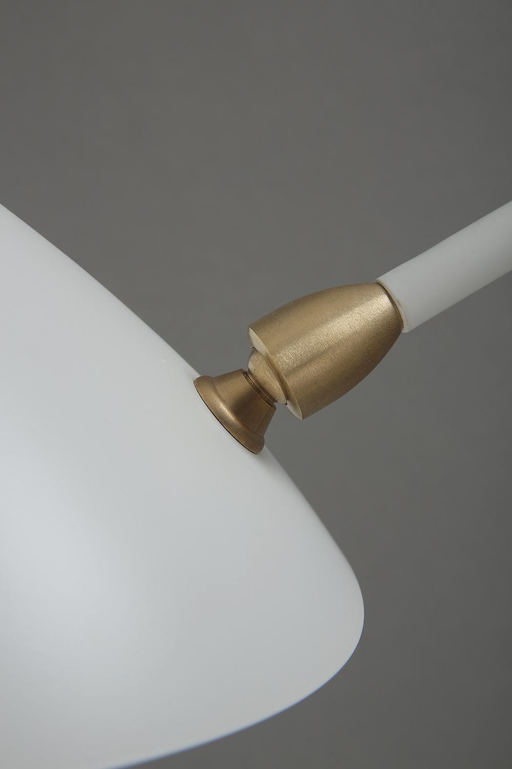Tooth Dancing Claw Floor Lamp