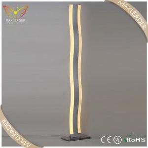 Floor Lamps of LED Decorative Cheap Contemporary Lights (ML7356)