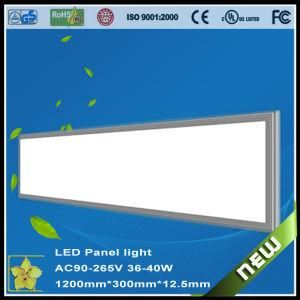 LED Panel Light 300*1200mm 40W 85-265V