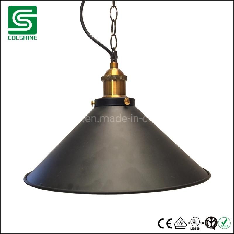 Modern Charcoal Copper Lined Metal Pendant Lamp