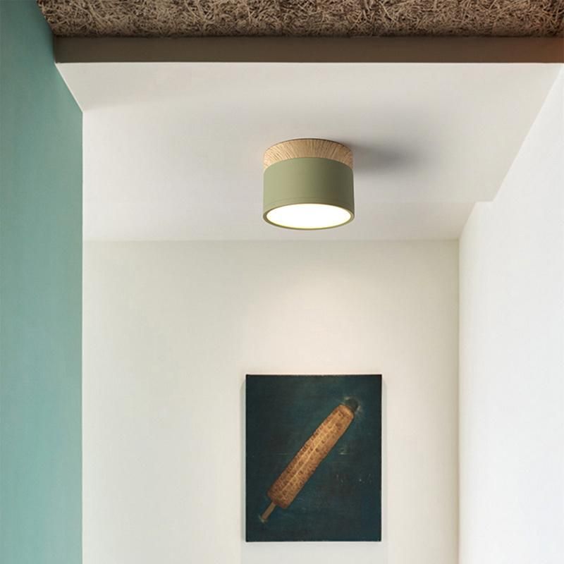 Mini Small Size Concise Style Ceiling Lamp Pendant Lamp Restaurant Lamp