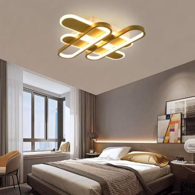Dimmer Ceiling Lamp Residential Lighting LED Pendant Lamp Chandelier Light