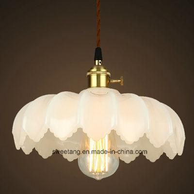 Modern Hanging Pendant Lamp Hanging Lights for Living Room Indoor Lighting Decorative
