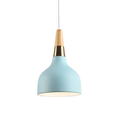 Modern Chandelier Pendant Lamp Pendant Ceiling Light Hanging Light for Bedroom