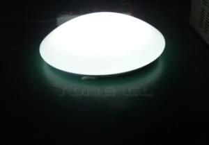 26W Diameter 320mm LED Ceiling Light