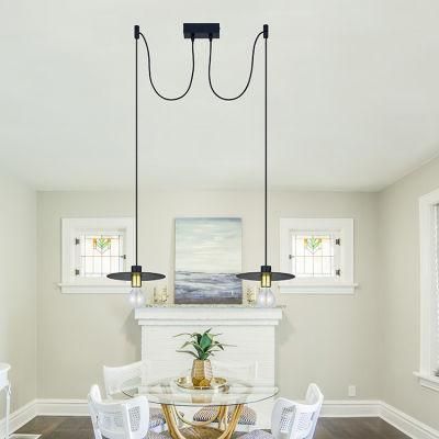 Modern Custom Pendant Ceiling Lights Shades Dining Room for Office