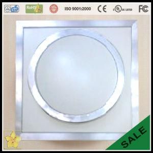 LED House Lighting Ceiling Lamp SMD 3528 LED 20W Super Bright