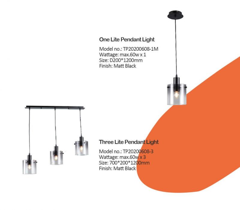 One Lite E27 Smoke Glass Pendant Lamp Matt Black