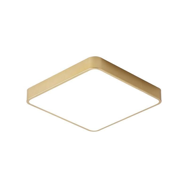 Golden Iron High Lumen LED Ceiling Light Indoor LED Lamp