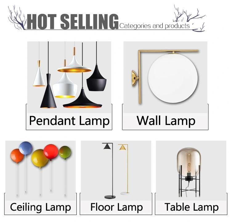 Sofa Bedside Lighting Fixture Wall Light/Ceiling Lamp