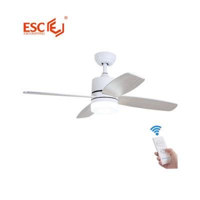 Nordic Contracted 48 Inches AC Motor Ceiling Fan with Light