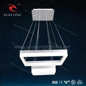 Fashional Style LED Pendant Lamp (Mv20365)