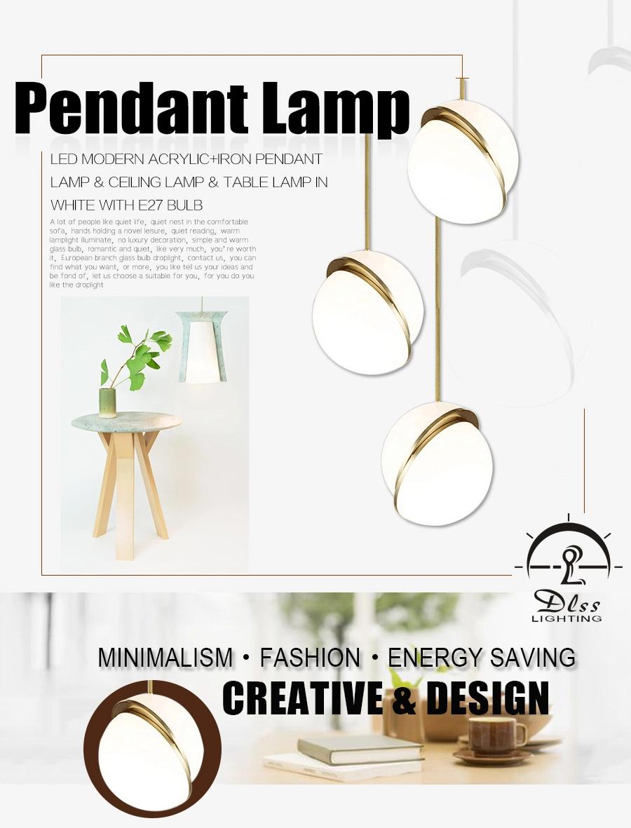 European Designer Acrylic Suspensive Pendant Lamps for Hotel Decorative Lighting
