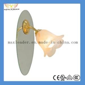 2014 Hot Sale Wall Sconce CE, VDE, RoHS, UL Certification (MD9839-3A)
