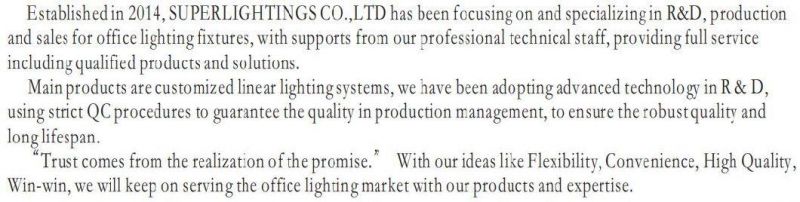 Office Hanging Ceiling Linear Light Fixture