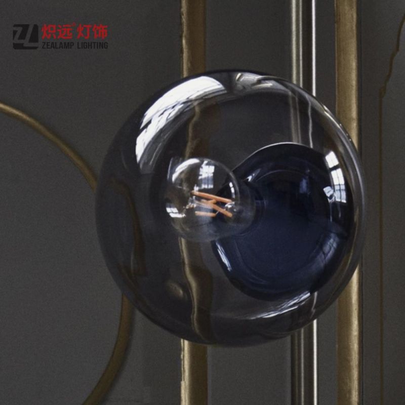 Globe Glass Shade Iron Holder Interior Residential Floor Lamp (ZLF026)