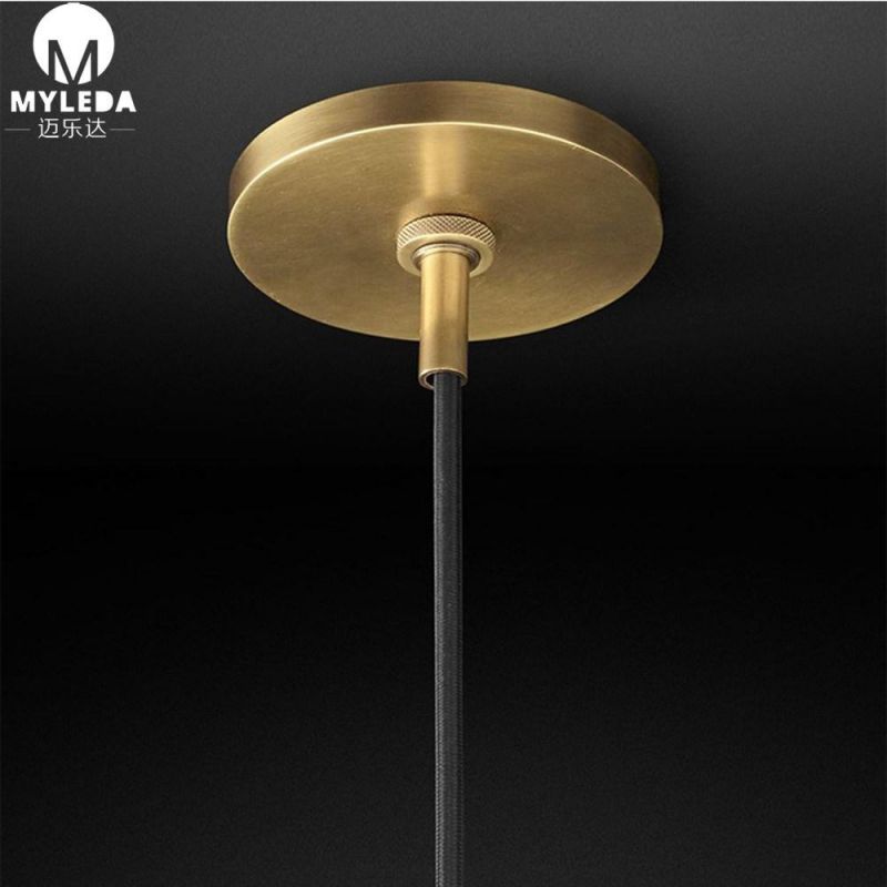 Modern Hotel Decorative LED Hanging Pendant Lighting