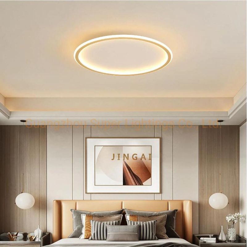 Contemporary LED Ring Ceiling Chandelier Light for Home