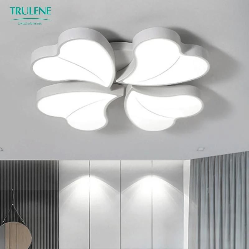 Modern Ceiling Light Decorative LED Light for Home Ceiling Lamp