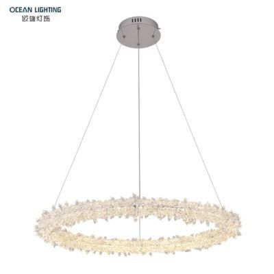 LED Chandelier Pendant Light Chandeliers Pendant Lights Modern Omd8138/100 Dia100cm