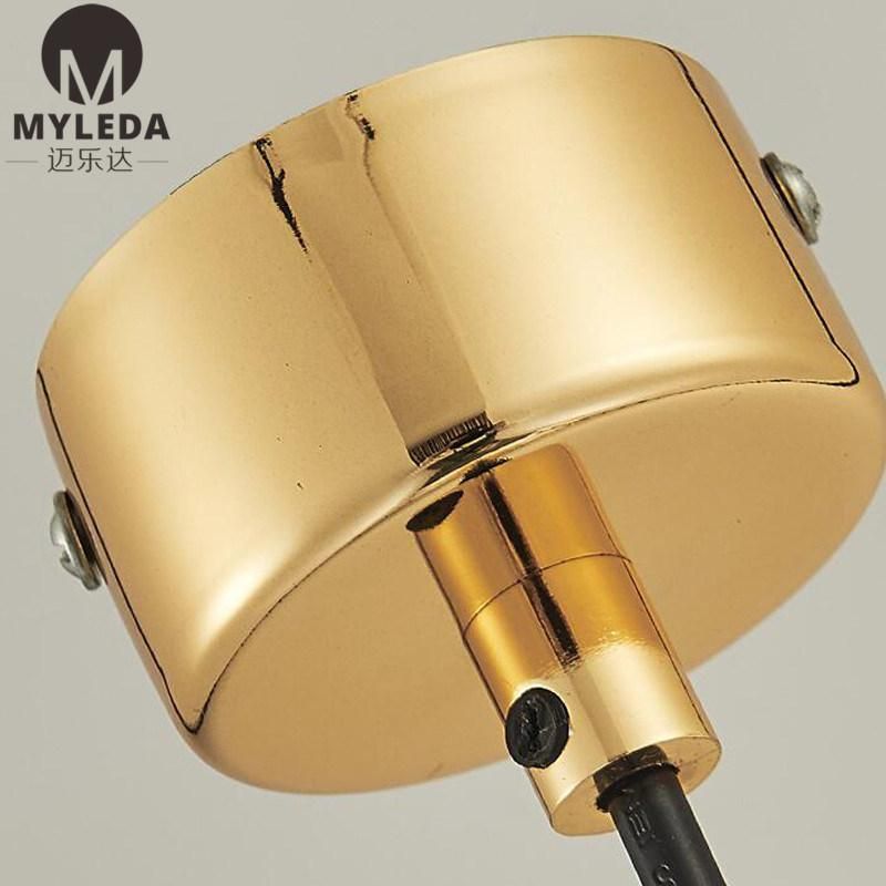 Home Decoration Iron Ceiling Glass LED Pendant Lamp