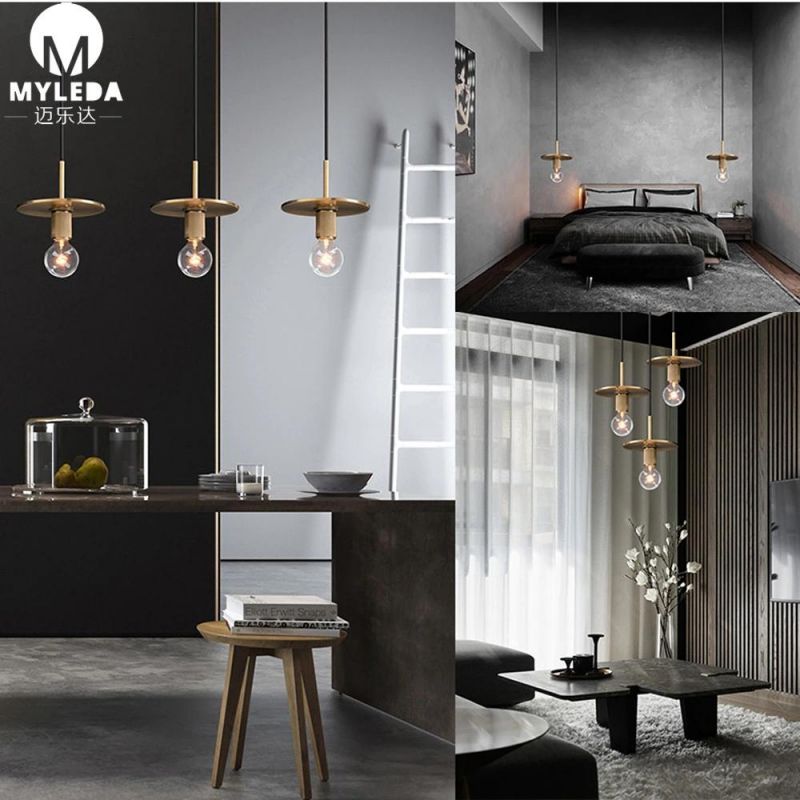 Modern Hotel Decorative Hanging Pendant Lamp
